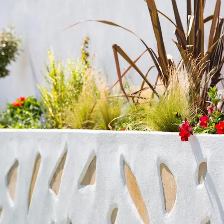 Acron Λιμενάρια