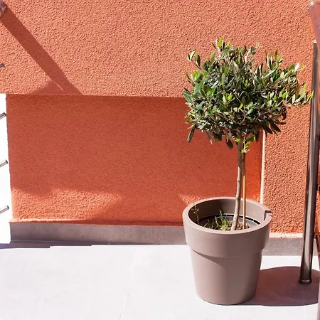 Acron Λιμενάρια